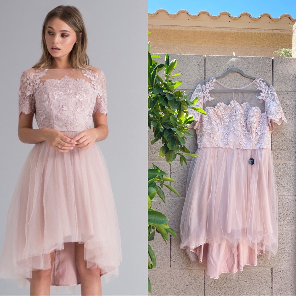 CHI CHI LONDON Curve ✨NWT✨Lace Tulle Maolisa Dress